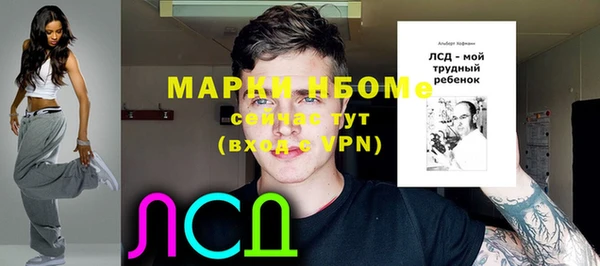 индика Баксан