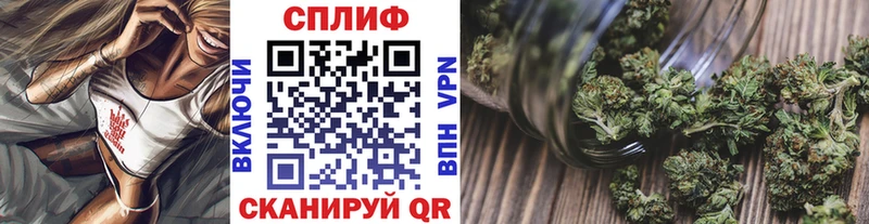закладка  Углич  Каннабис Amnesia 